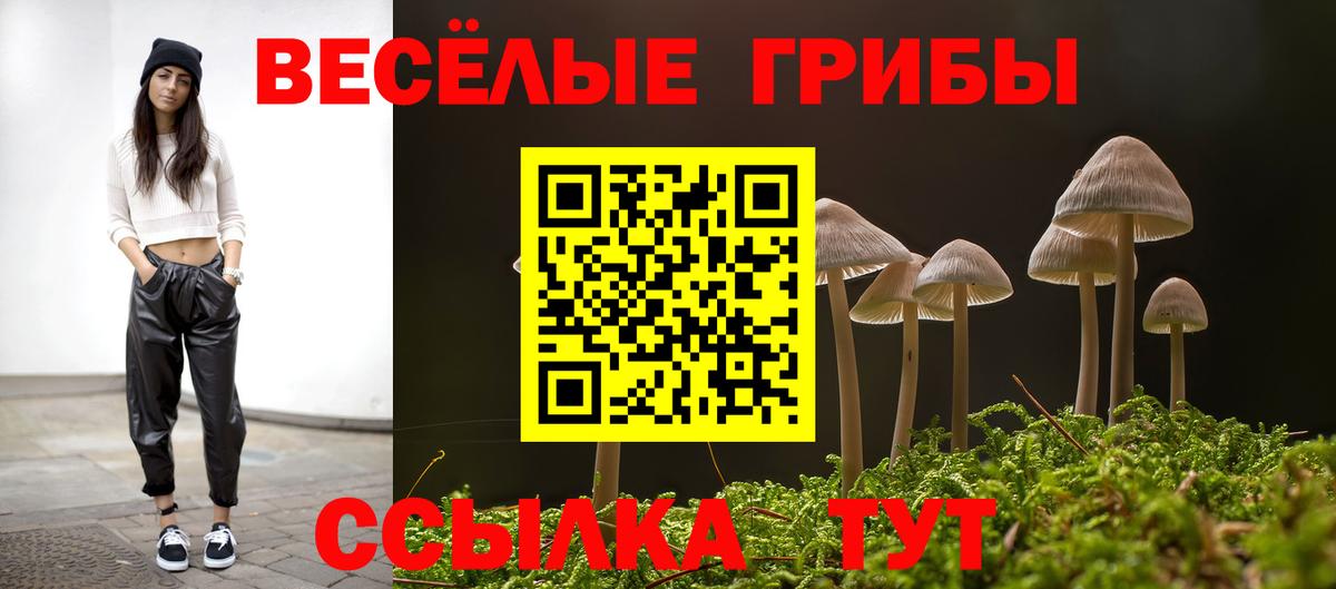 Сергиев Посад  Псилоцибиновые грибы мухоморы  Вход с VPN 