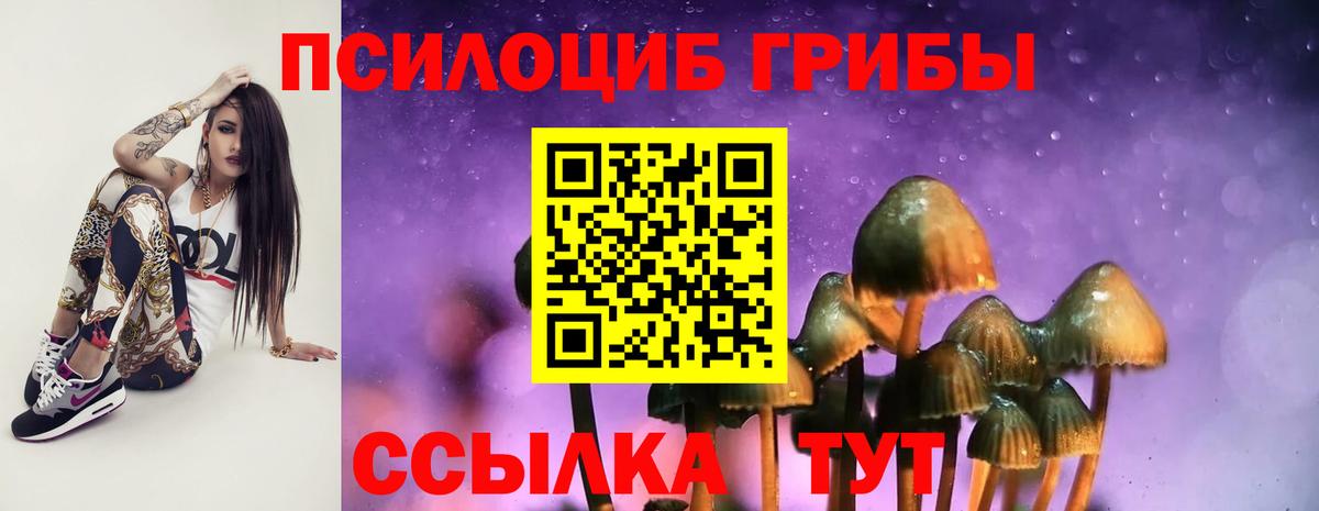 Псилоцибиновые грибы Psilocybe Сергиев Посад